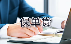 保单贷